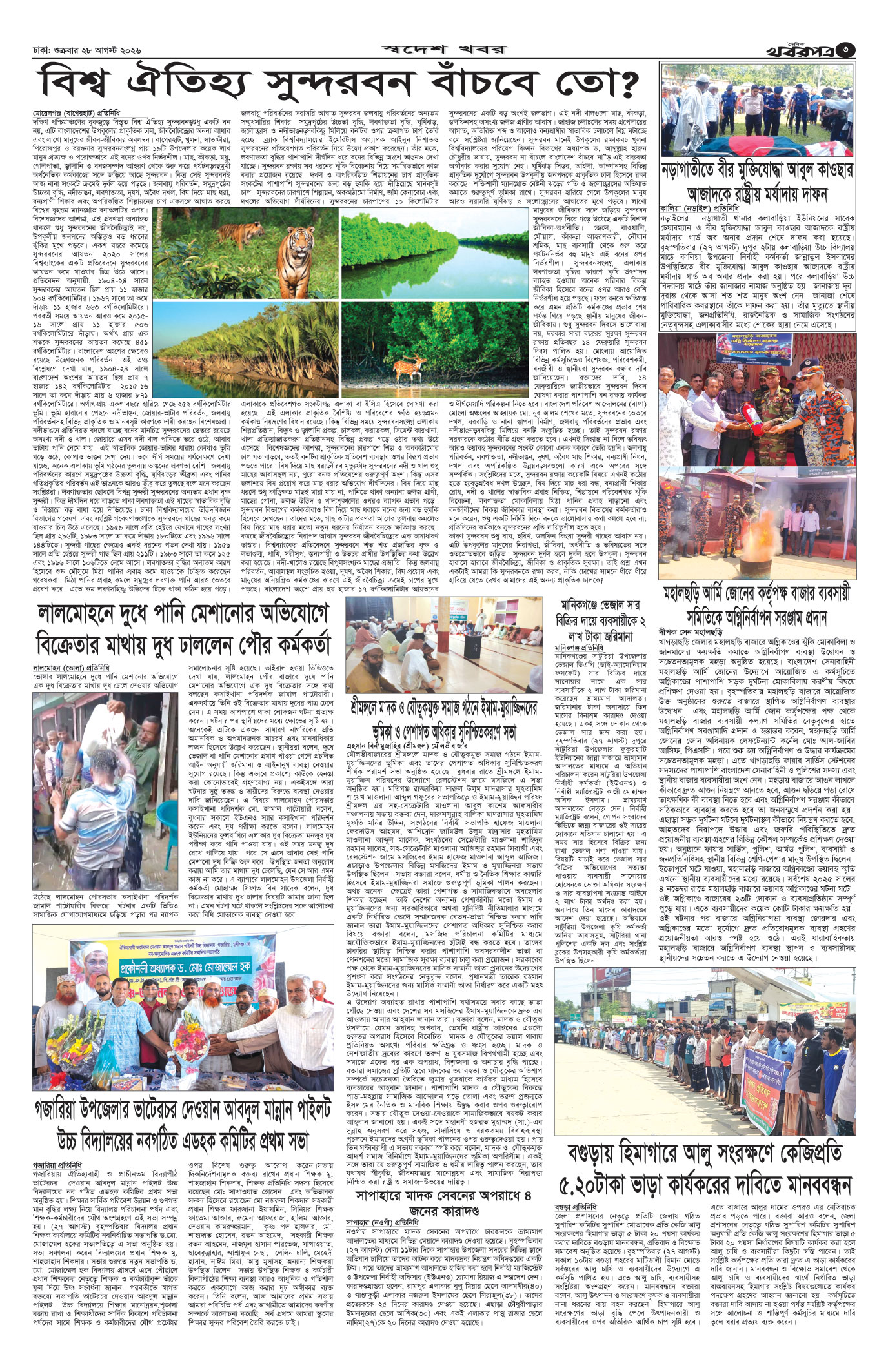 তৃতীয় পাতা